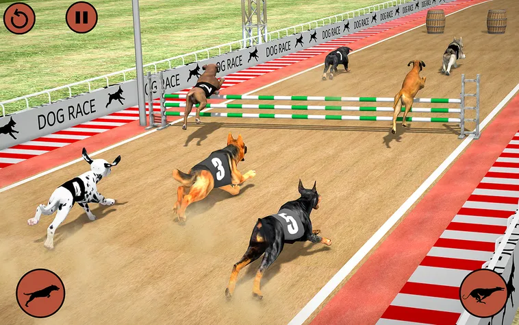 Cách Chơi Game Nhanh Đua Chó Manclub Với Chiến Lược Đặt Cược Hiệu Quả​