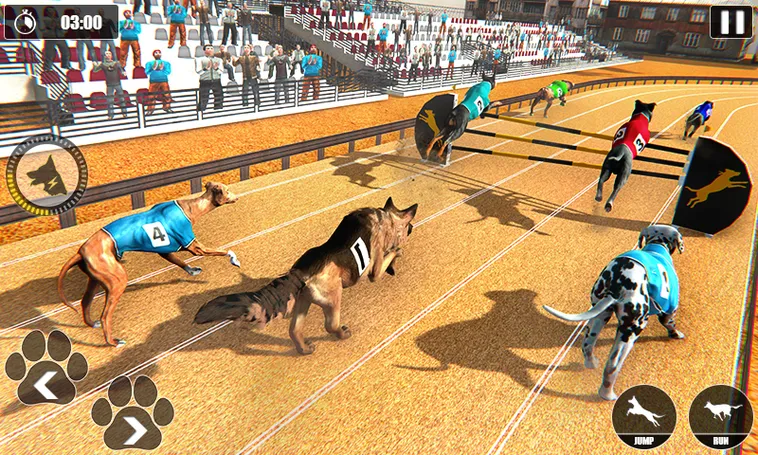 Cách Chơi Game Nhanh Đua Chó Manclub Với Chiến Lược Đặt Cược Hiệu Quả​