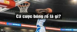 Tìm Hiểu Cá Cược Bóng Rổ Manclub Từ Cơ Bản Đến Thực Chiến