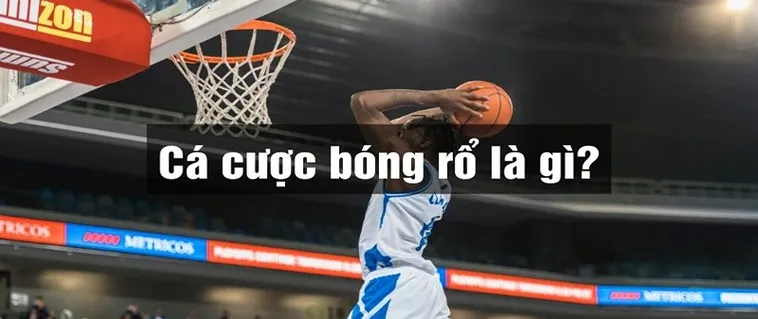 Tìm Hiểu Cá Cược Bóng Rổ Manclub Từ Cơ Bản Đến Thực Chiến