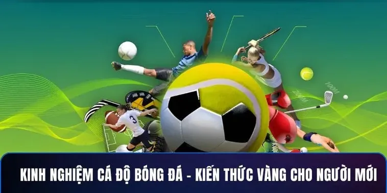 Tìm Hiểu Cá Cược Bóng Đá Manclub Từ Cơ Bản Đến Nâng Cao